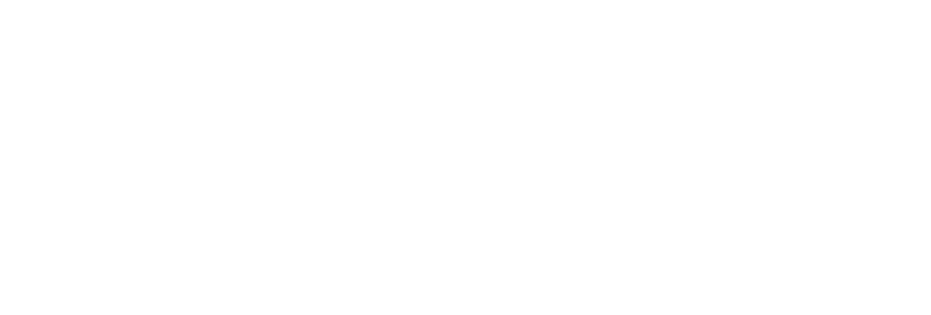 Connected Security logo